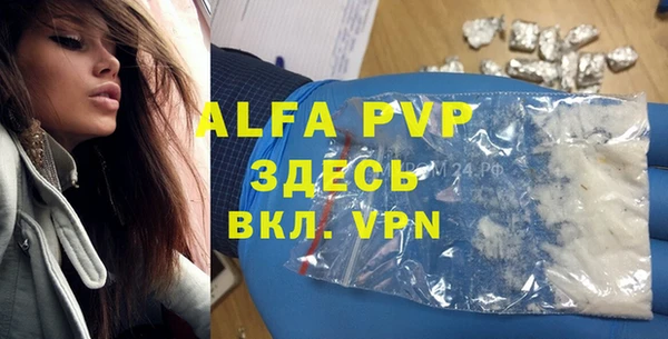 сатива Абинск