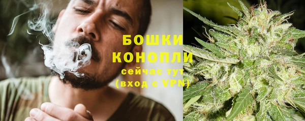 дурь Алексеевка