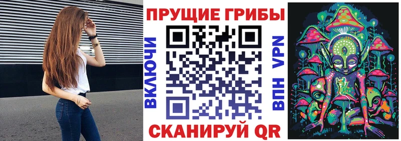 Галлюциногенные грибы Psilocybe  где купить наркотик  Монино 
